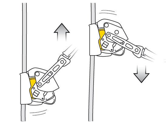 Petzl-ASAP Lock