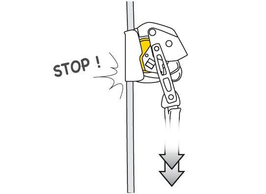 Petzl-ASAP Lock