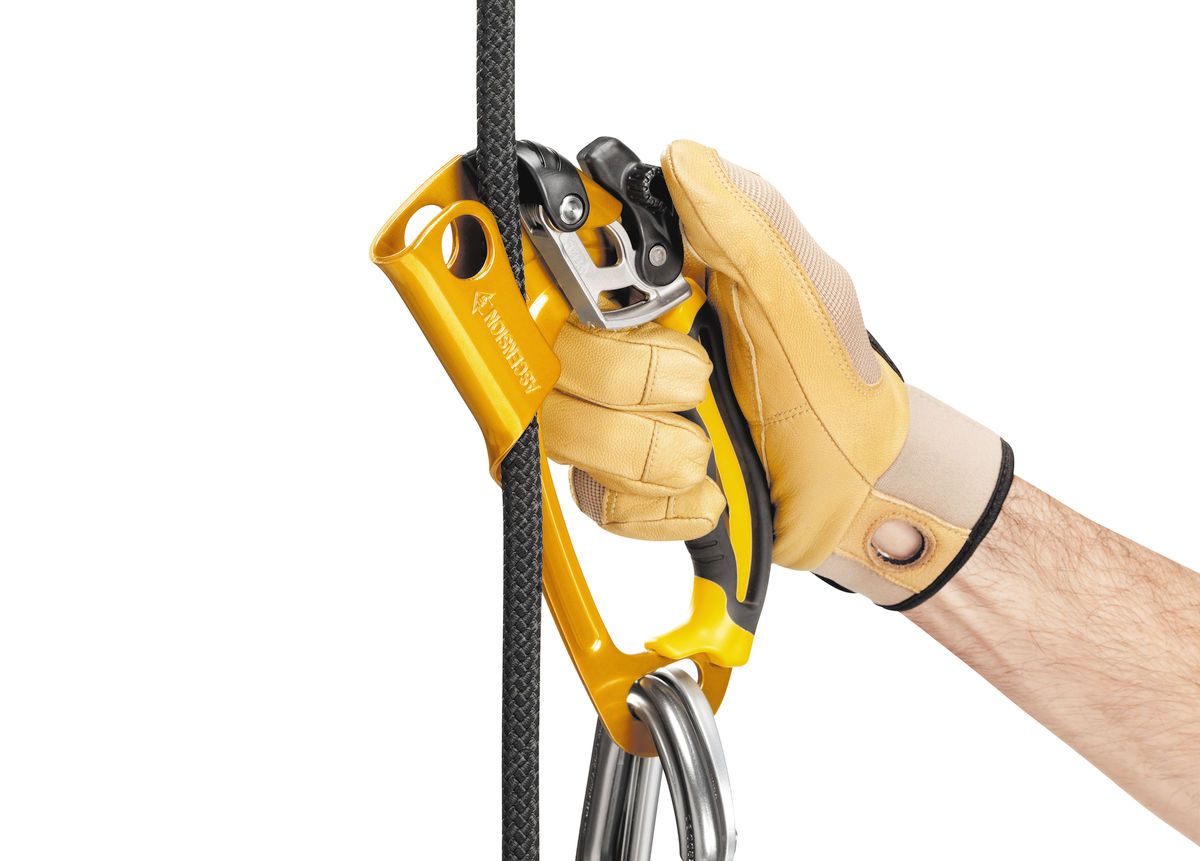 Petzl-ASCENSION