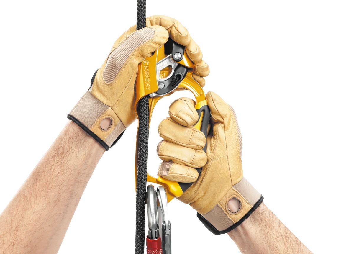 Petzl-ASCENSION