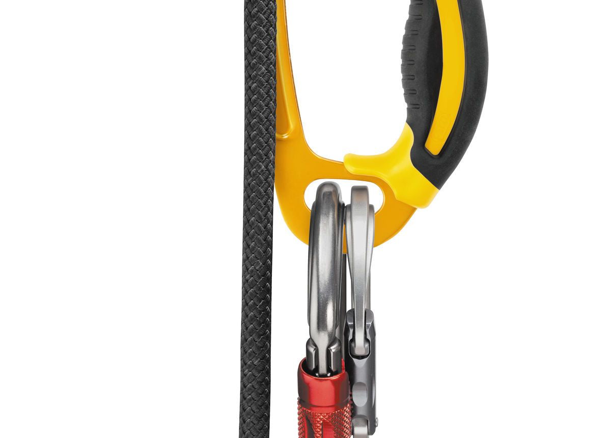 Petzl-ASCENSION