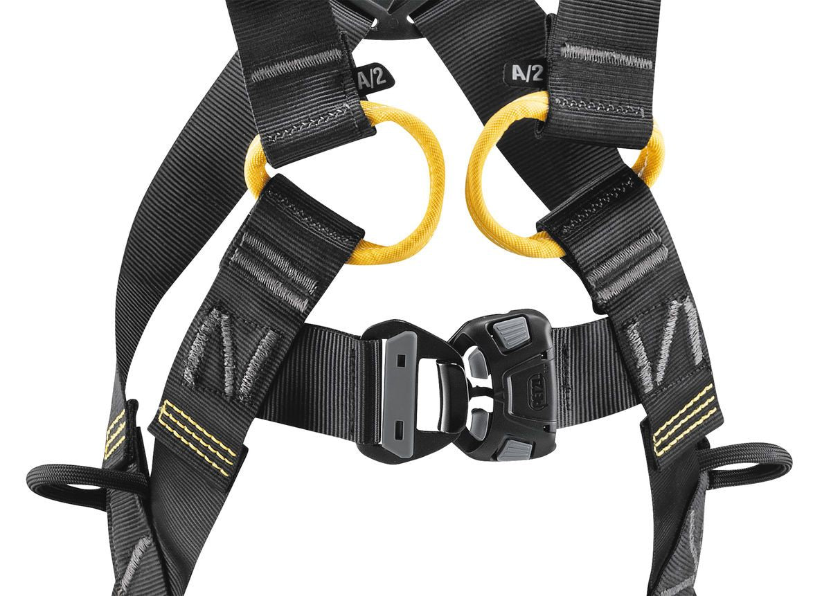 Petzl-NEWTON international version