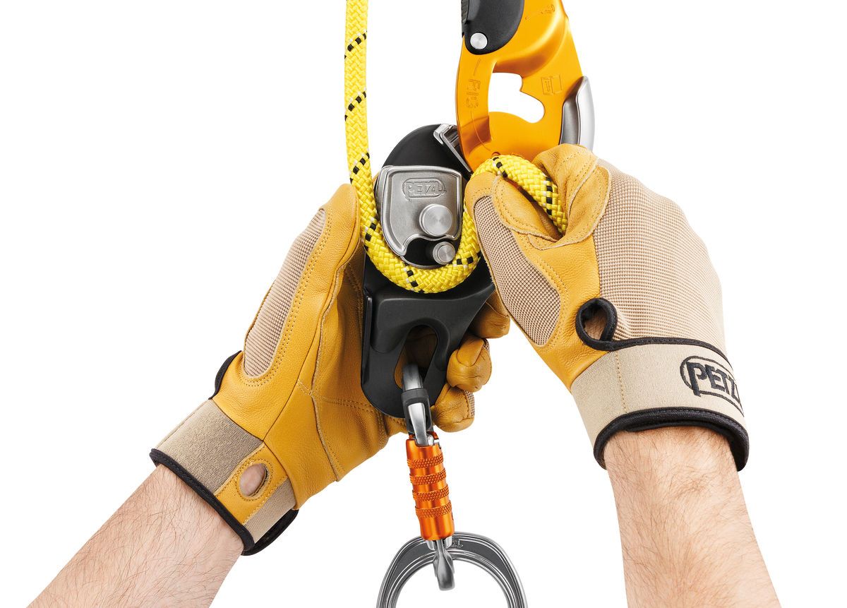 Petzl-RIG